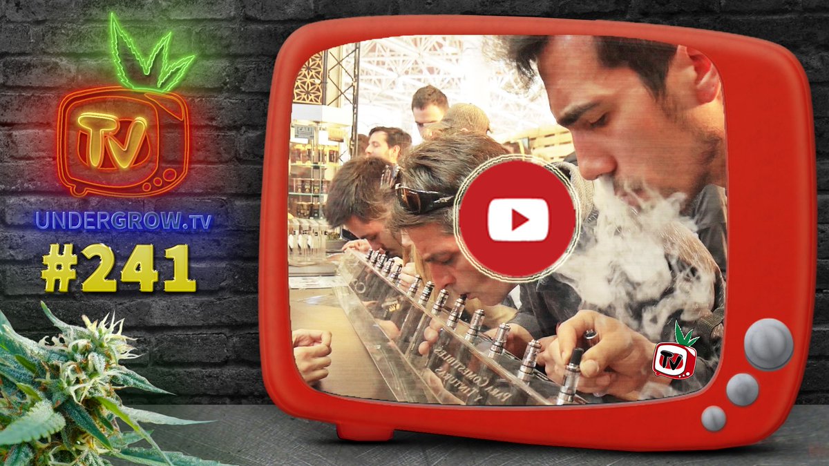 undergrowtv's tweet photo. ¡Nuevo programa! #Undergrowtv241 con: Técnica de #germinación + e-liquids + #noticias #cannábicas + @advnutrients_es en @expogrowirun . #420time https://t.co/n5wdNRoVG1 https://t.co/KZQySKFkNY