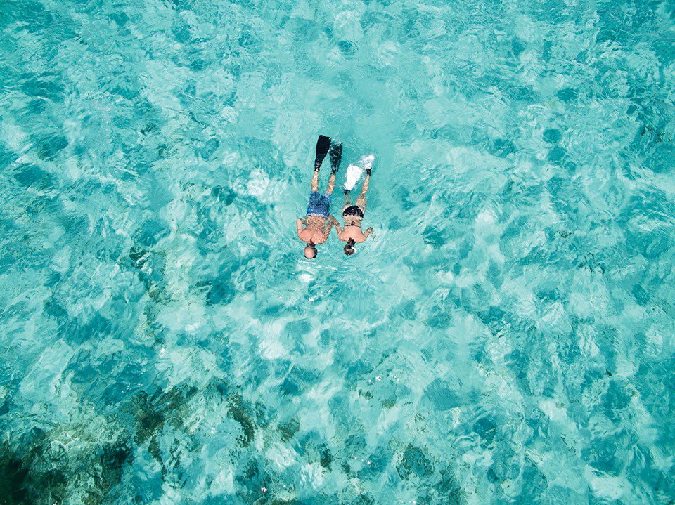 DeAquiSoyQROO's tweet photo. Te urge conocer Cozumel. 💦 #DeAquíSoy

📍 Isla Cozumel, Quintana Roo. https://t.co/mk74uyLoxt
