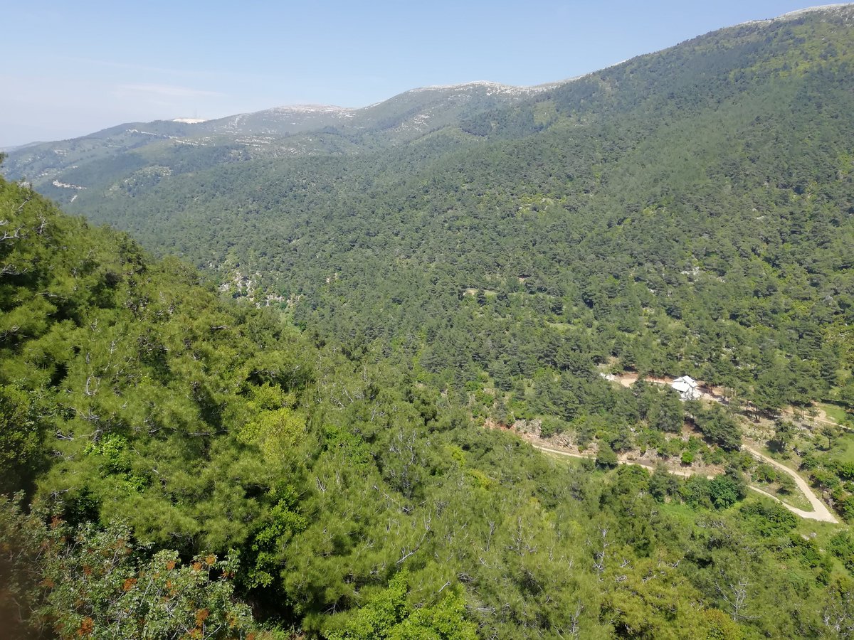 My Lebanon, My Village, The Best Panoramic View  that GOD created.
#Lebanon #nature #panoramicview #green #tourism