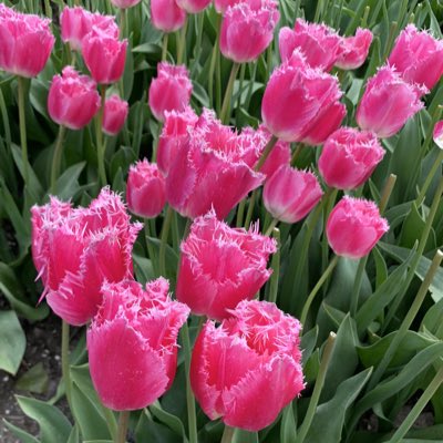 Lorita Lrita10 Twitter Lorita Lrita10 Twitter