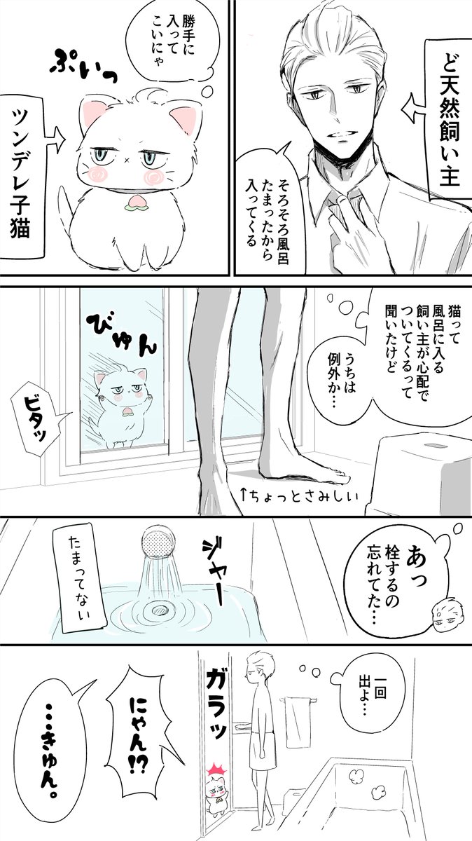 ど天然飼い主とツンデレ子猫 