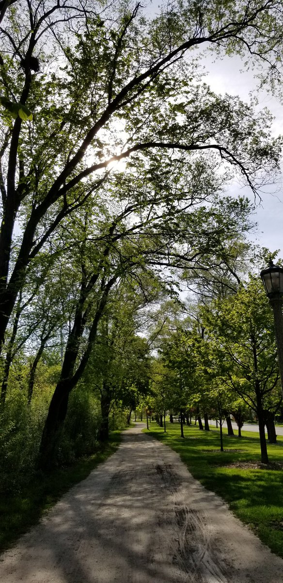 LynnKrizic's tweet photo. Morning 4 mile negative splits run done! #runchat #TuesdayMorning #prairiepath https://t.co/56Q0wYIrcE