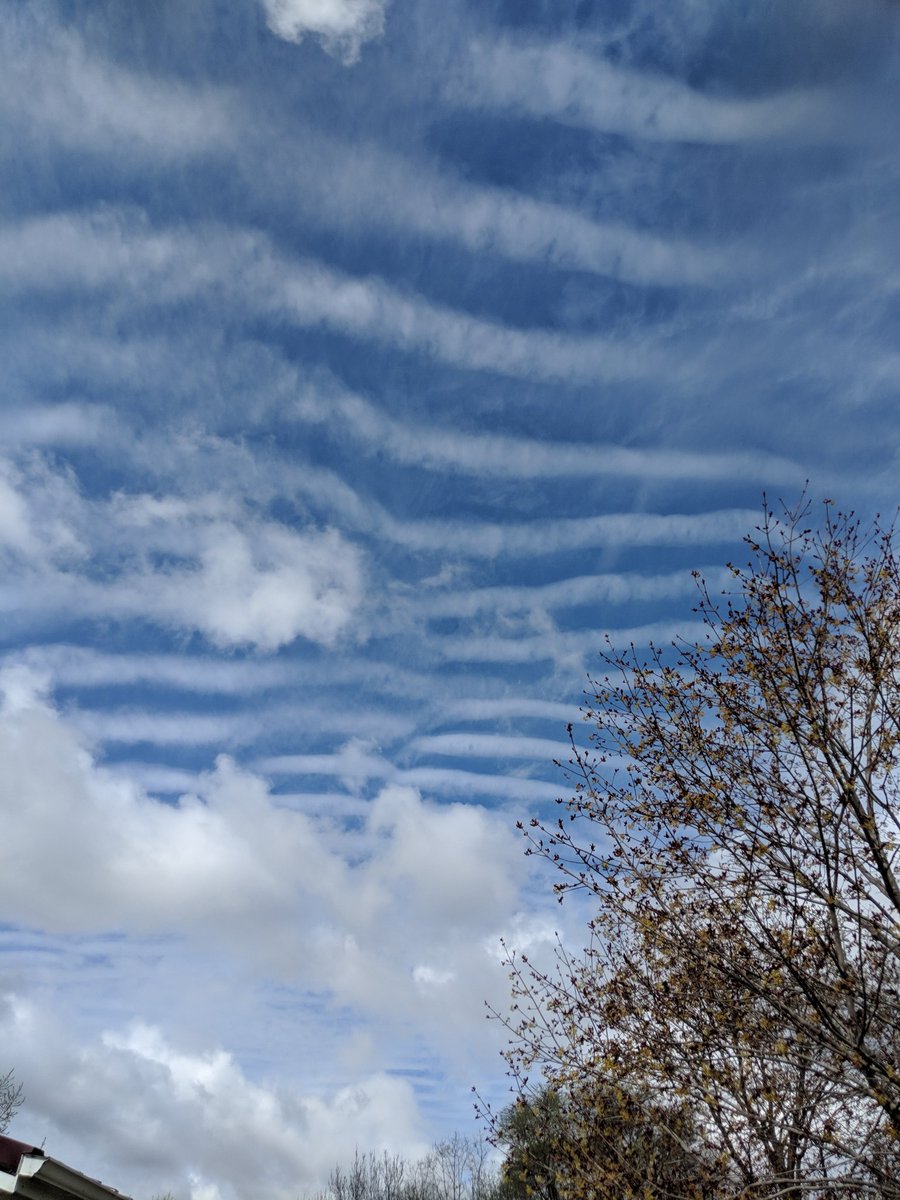 mike_koschak's tweet photo. @WeathermanDrew are these cloud streets? I can't recall seeing a formation like this before. Picture taken on Friday in EC. https://t.co/PoAHIFVEkA