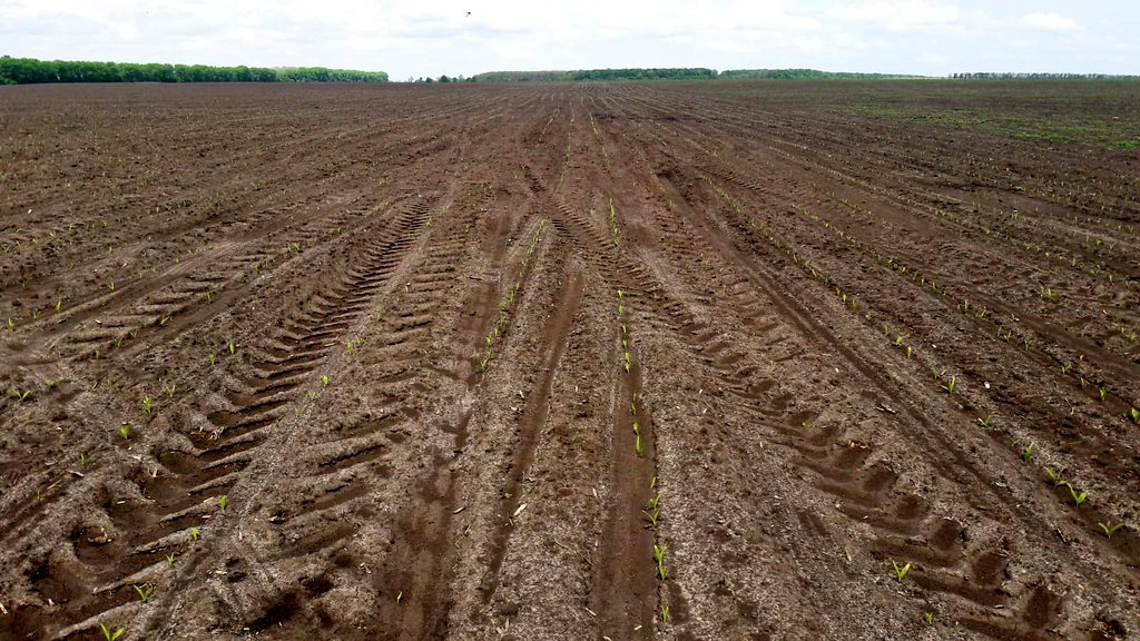 Argus Agriculture tweet media