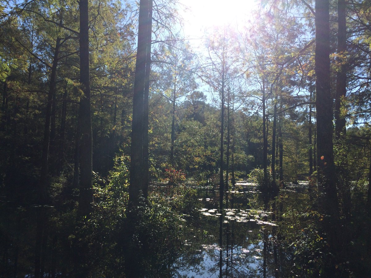 DNREC Wetland Monitoring and Assessment Program tweet media