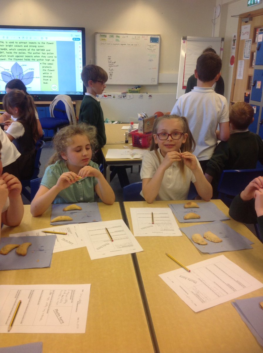 HensallClass's tweet photo. South American themed cooking - Empanadas - children chose their filling. It was a thumbs up by all when taste testing 👍. https://t.co/SxDeRbO5OM