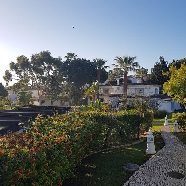 4SFairways's tweet photo. One of our favourite elements of our landscape is the pathways, guiding you though secluded passages to your home away from home. Share with us some of your favourite places at Fairways with the hashtag #lifeatfairways
Photo by: @gregdelreux https://t.co/Vp56Hl1wKg