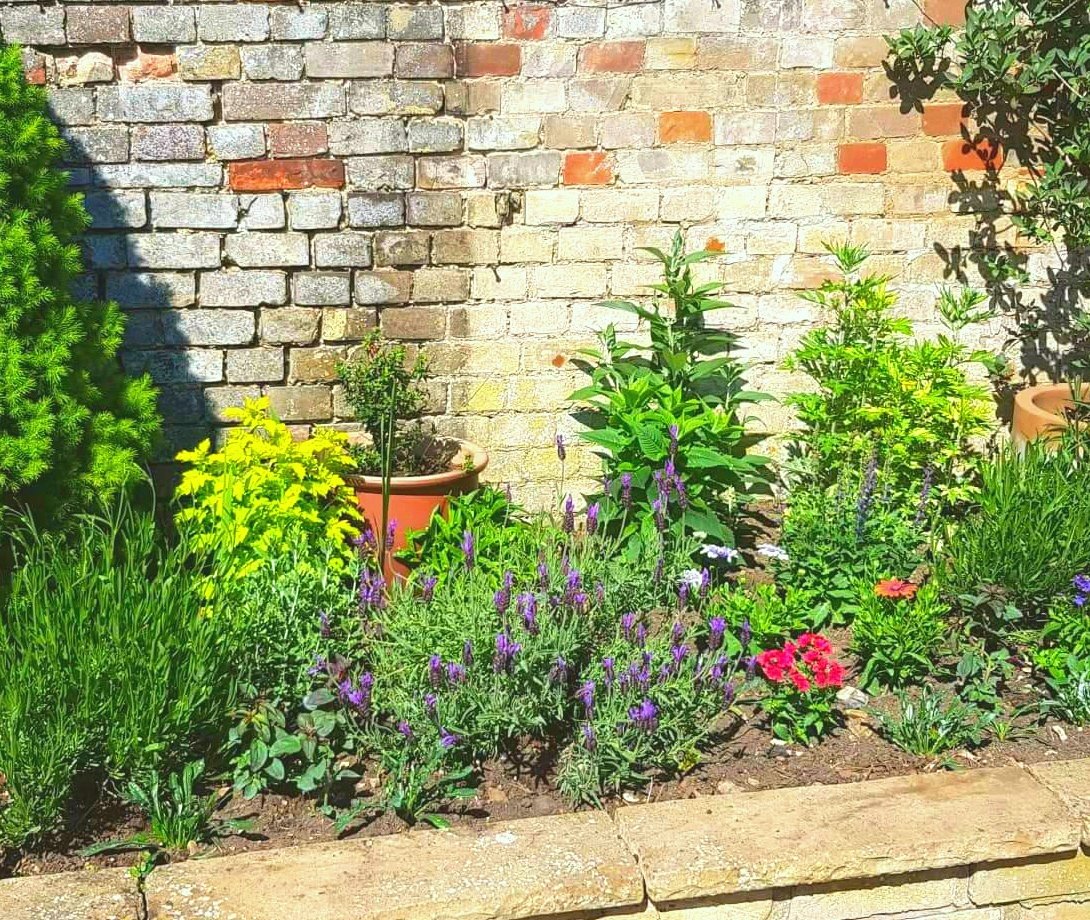 Courtyard #garden ready for our #summer B&amp;B guests! A big thank you to <a href="/WoolpitPlants/">Woolpit Nurseries Ltd</a> for the stunning colours and variety! Cheers!
#woolpit #suffolk #BuryStEdmunds