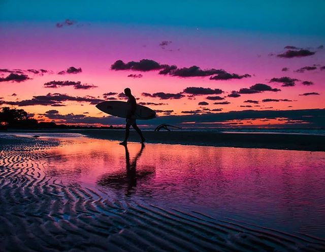 VISIT FLORIDA tweet media