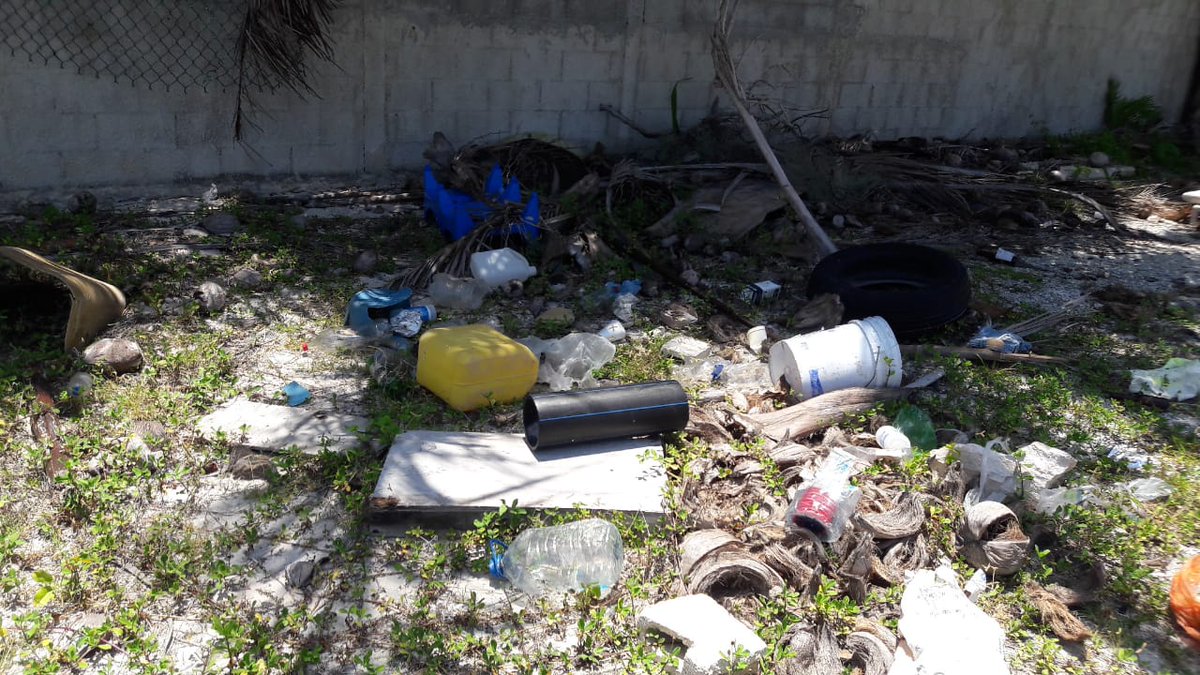 Bet_Ferreyro11 tweet media