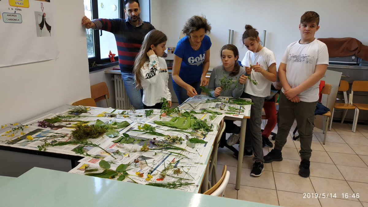 Denise_gioco's tweet photo. @Ic_Viguzzolo Escursione in Val Curone per il progetto "Guardiani dell'Ambiente: a scuola nella Natura" prof. Di Bella @Denise.gioco #natura #ambiente raccolta e osservazione sul campo e analisi in laboratorio #botanica #scienzenaturali https://t.co/qt22Vb0dc0