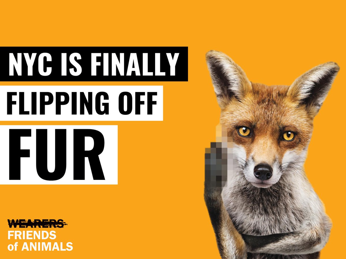 FoAorg's tweet photo. Join us tomorrow at the #FurFreeNYC rally and City Council hearing in support of the #NYC fur ban! Register here: https://t.co/lNVMeS4Plf #FlipOffFur https://t.co/HxfMnK1Tlz