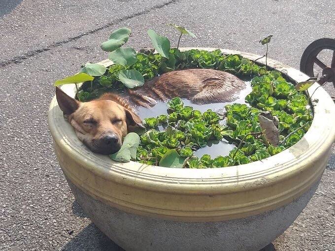 INDIEWASHERE's tweet photo. i want to be this ~happy~ and content one day https://t.co/c8uSO2qgzj