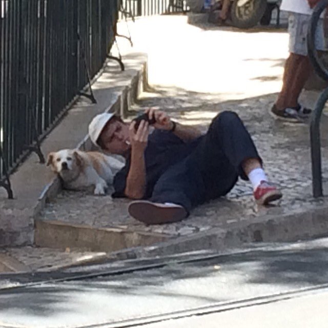 macdoesthings's tweet photo. mac taking a selfie with a dog https://t.co/2vKKNgSNnS