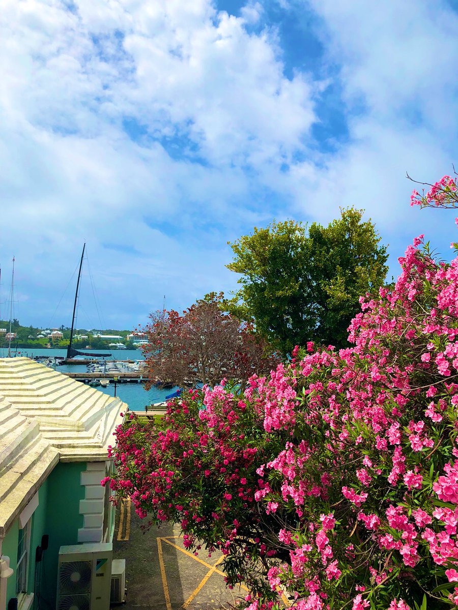 M-P Belisle-Kennedy tweet media