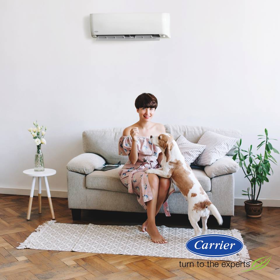 Shavitz_HVAC's tweet photo. Ductless is a powerful way to cool almost any room. With high wall units, low wall consoles, cassettes, and even ducted units, Ductless systems offer flexible options for customizing your comfort.

Call Shavitz today at 847-678-1000 to learn more. https://t.co/U5uomx8sq9