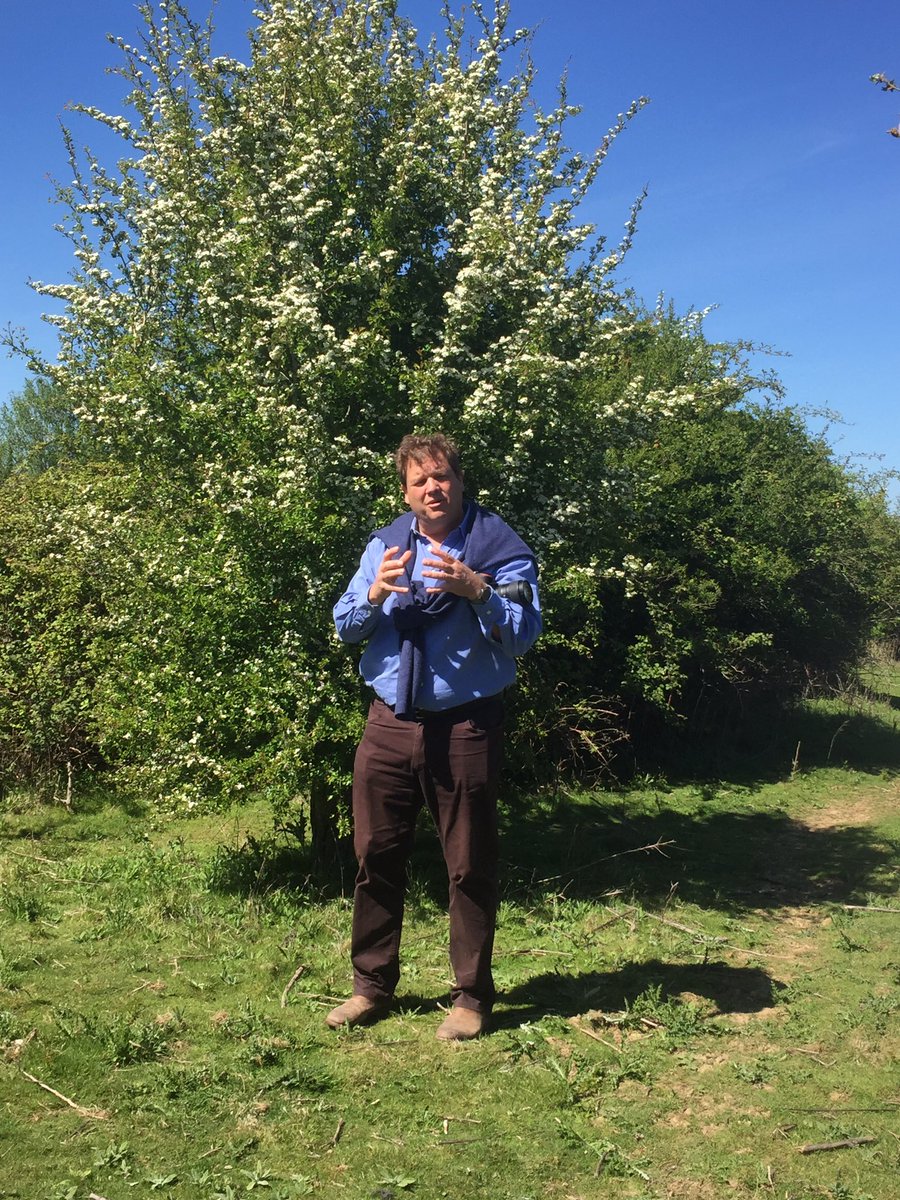 greenfunders's tweet photo. Such a privilege to be at @KneppSafaris with Charlie Burrell @kneppcastle finding out about rewilding, purple emperor butterflies, storks, nightingales, red deer - beautiful! https://t.co/NYk1YwgbU1