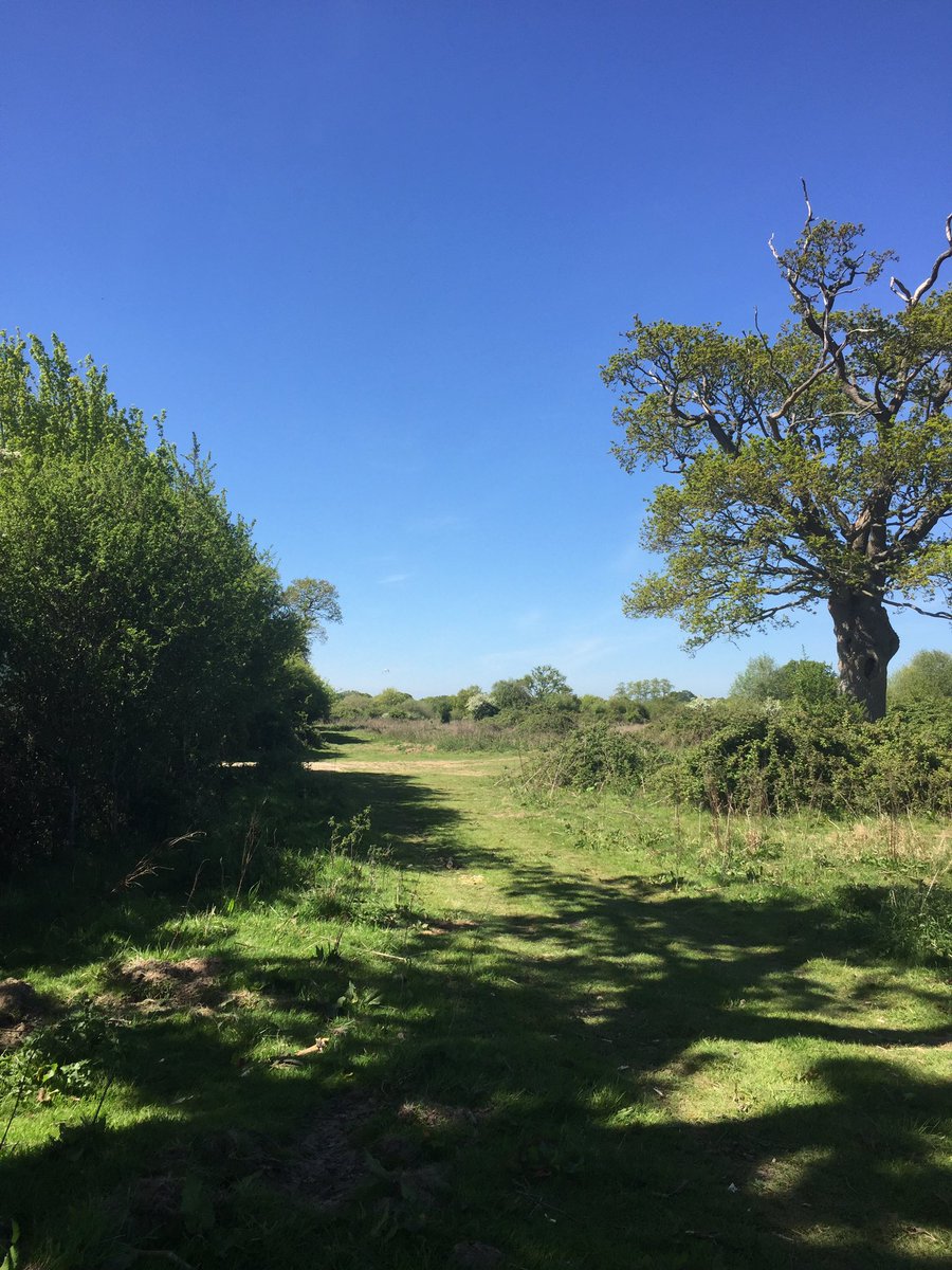 greenfunders's tweet photo. Such a privilege to be at @KneppSafaris with Charlie Burrell @kneppcastle finding out about rewilding, purple emperor butterflies, storks, nightingales, red deer - beautiful! https://t.co/NYk1YwgbU1