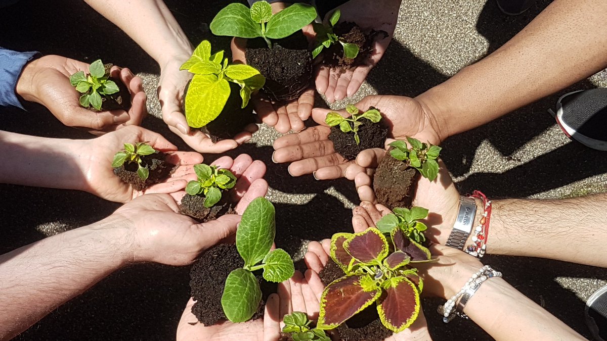 MYS_project_eu's tweet photo. "gardening" session to show #variety #multiculture #social #inclusion of the @EUErasmusPlus-project #MeandYourStories in one picture! https://t.co/YoVPSlM672