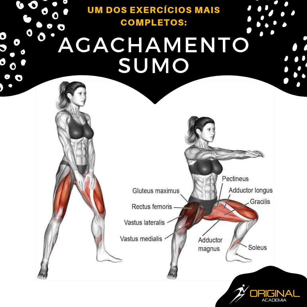 Agachamento Sumo Com Barra 