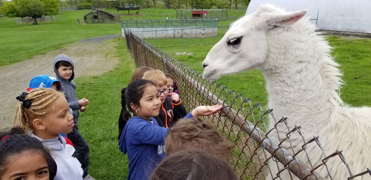 pusinka18's tweet photo. Best field trip ever!  #spacefarmszoo _RamsRock https://t.co/g9nTKlxz13