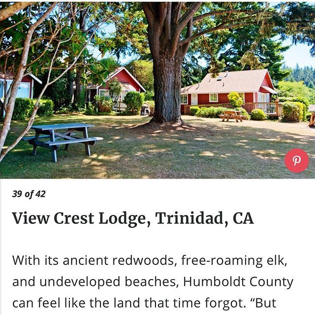 alexstillman's tweet photo. Sunset magazine touted this spot #visit Denver #denverpost #arcatacommunityforest #unitedairlines @losangeles_city @fly_humboldt @humboldtstate @humboldt_tourism_ @denvercoloradomagazine #beaches #flyhumboldt #trinidadcalifornia @trinidadchamber https://t.co/7ZBZVL4kz4