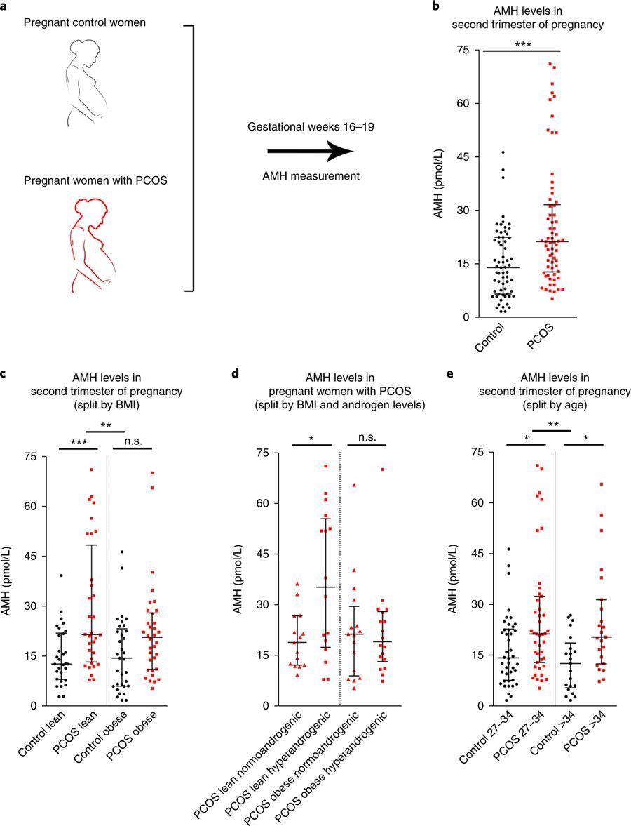 Nature Medicine On Twitter Excess Anti Mullerian Hormone During