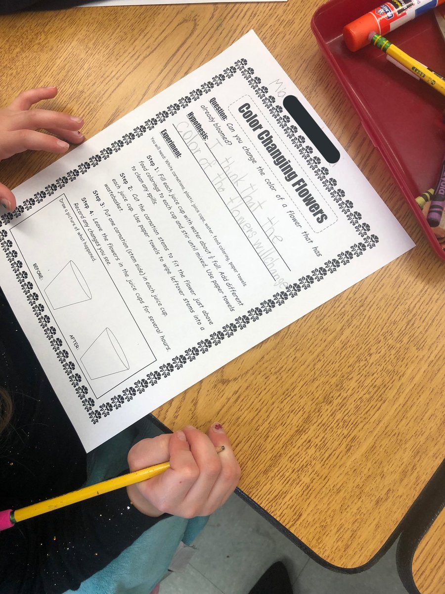 misslandon__'s tweet photo. E is for ExperimentDay! Kindergarteners are making a hypothesis about whether the color of the already bloomed carnations will or will not change! What do you think?! #capillaryaction #transpiration @MrsO_Teach #whitmanfutureready https://t.co/z9zAmoi3AF
