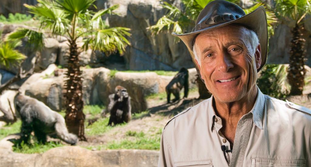BuschGardens tweet picture
