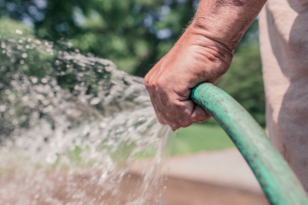 MLeavesForever's tweet photo. #treecareTuesday - This month, water new plantings as needed - frequency & duration will increase in dry conditions. Fertilize established trees but NOT newly planted trees. Find out more on our #TreeCare Calendar: https://t.co/K4La6lyo18 https://t.co/NRjhypEH2F