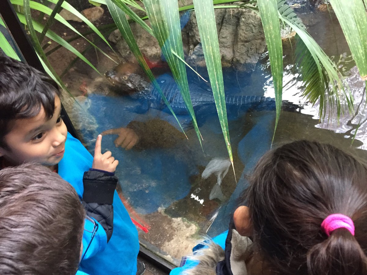 KTMKindergarten's tweet photo. Fun field trip at the Beardsley Zoo! https://t.co/mNk90oB7ZN