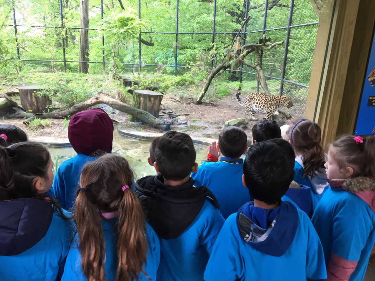KTMKindergarten's tweet photo. Fun field trip at the Beardsley Zoo! https://t.co/mNk90oB7ZN