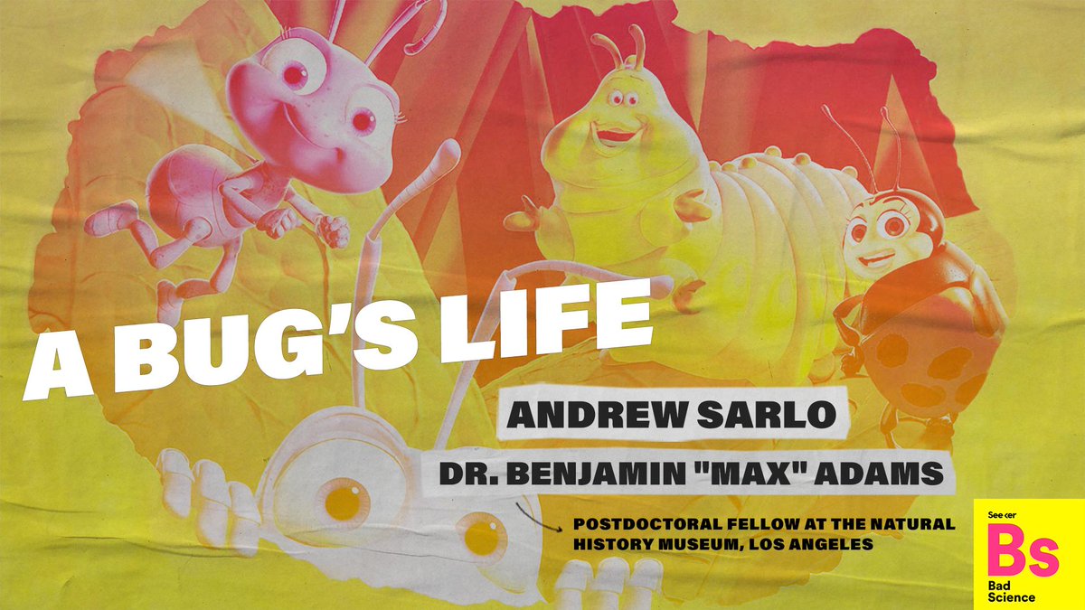 Bad Science tweet media