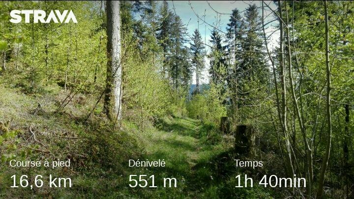YModot's tweet photo. Petite sortie #Trailrunning , retour dans les bois, et la montagne, avec le soleil sa fait trop du bien, c'est partie pour la saison de #trail #garmin #kalenji #decathlon #strava #run4sep #run4piwi #aDieutoutelagloire https://t.co/8LqgFZcnE3
