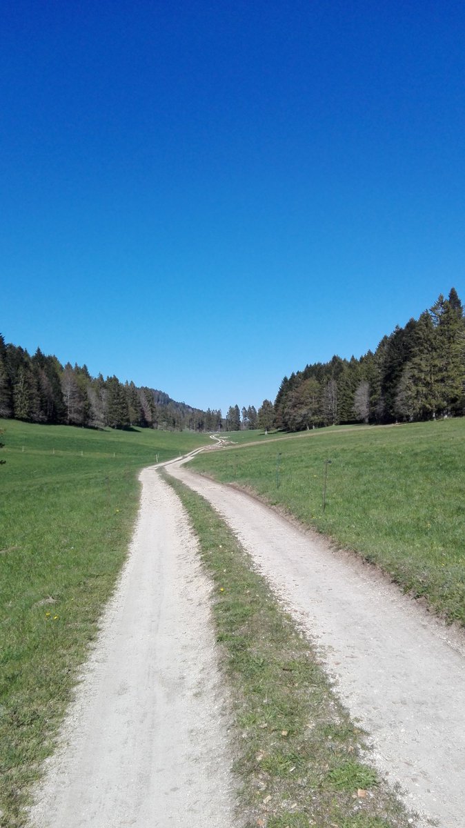 YModot's tweet photo. Petite sortie #Trailrunning , retour dans les bois, et la montagne, avec le soleil sa fait trop du bien, c'est partie pour la saison de #trail #garmin #kalenji #decathlon #strava #run4sep #run4piwi #aDieutoutelagloire https://t.co/8LqgFZcnE3