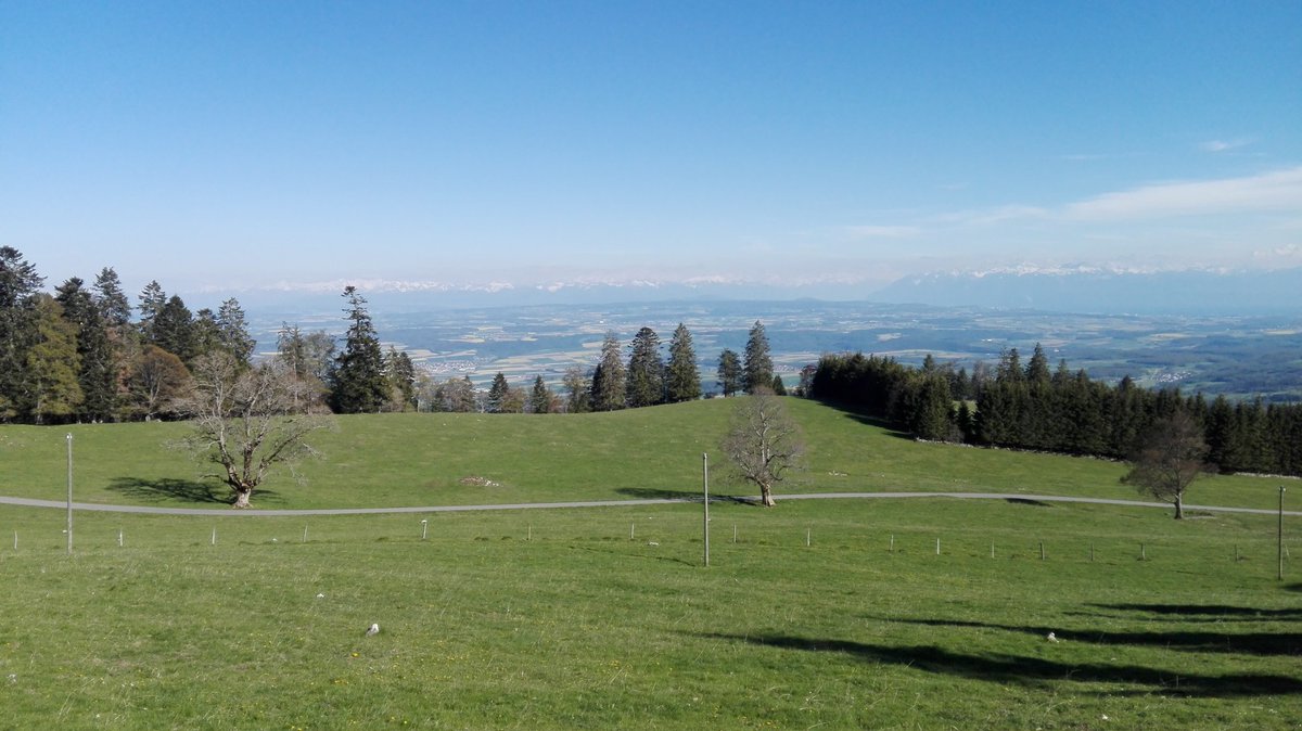 YModot's tweet photo. Petite sortie #Trailrunning , retour dans les bois, et la montagne, avec le soleil sa fait trop du bien, c'est partie pour la saison de #trail #garmin #kalenji #decathlon #strava #run4sep #run4piwi #aDieutoutelagloire https://t.co/8LqgFZcnE3