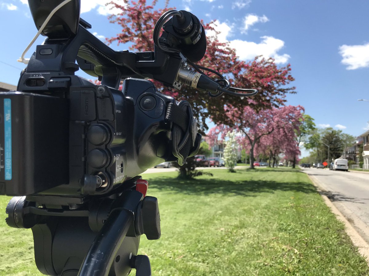MMaluskeCTV's tweet photo. Today’s #creditshot @CTVWindsor brought to you by whatever these gorgeous trees are, that only bloom in May along Giles Blvd @CityWindsorON #beautyshot #wishihadadrone Aren’t they pretty @CCampbellCTV? https://t.co/fBL5Zuq5Sp