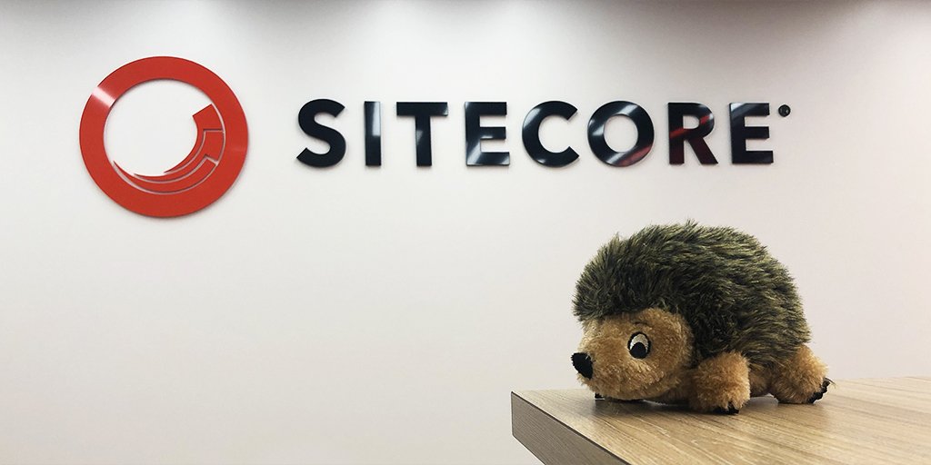 Mark_D_Frost's tweet photo. Weโre receiving more and more reports of Hedgie sightings here in the @Sitecore #SanFrancisco office and I managed to capture a picture of one just now. #hedgi #Sitecore @hhogdev #HedgehogDevelopment #Ecommerce #WebContentManagement #WCM #ExperienceManagement #sitecorecommunity https://t.co/EaJq4cAizD