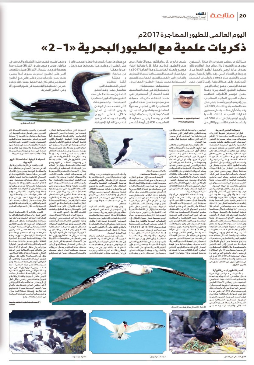 mshobrak's tweet image. بمناسبة اليوم العالمي للطيور #المهاجرة، وللتذكير بطيور مهاجرة تصل للمملكة للتناسل في هذا التوقيت، هذا رابط مقالة من جزئين بعنوان "ذكريات علمية مع الطيور البحرية" ادعوا الله ان ينفع بها البلاد والعباد
الجزء الاول
al-jazirah.com/2017/20170512/…
الجزء الثاني
al-jazirah.com/2017/20170513/…