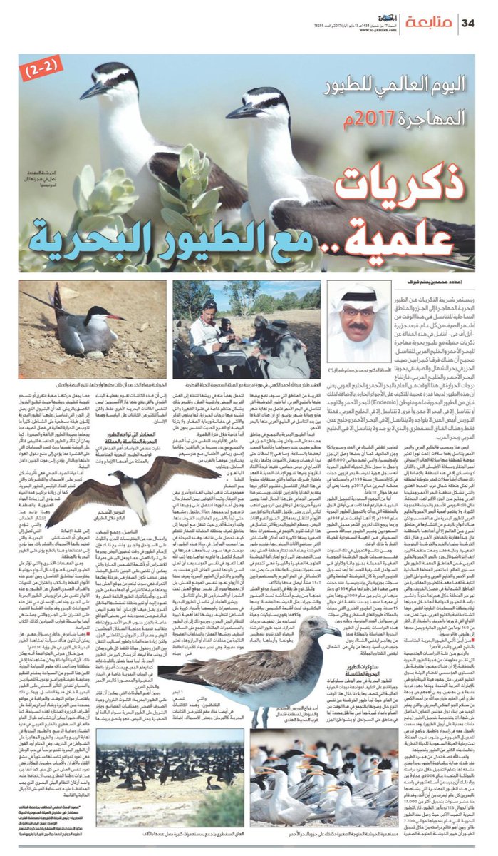mshobrak's tweet image. بمناسبة اليوم العالمي للطيور #المهاجرة، وللتذكير بطيور مهاجرة تصل للمملكة للتناسل في هذا التوقيت، هذا رابط مقالة من جزئين بعنوان "ذكريات علمية مع الطيور البحرية" ادعوا الله ان ينفع بها البلاد والعباد
الجزء الاول
al-jazirah.com/2017/20170512/…
الجزء الثاني
al-jazirah.com/2017/20170513/…