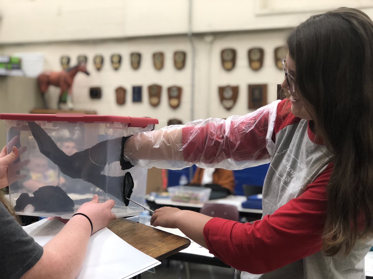 emilyjkhaley's tweet photo. We artificially inseminated our breeder boxes today! #teachag #onabudget #woodburyffa #cchs #restoretheroar @WeAreCannon https://t.co/MzbU8UXx7j