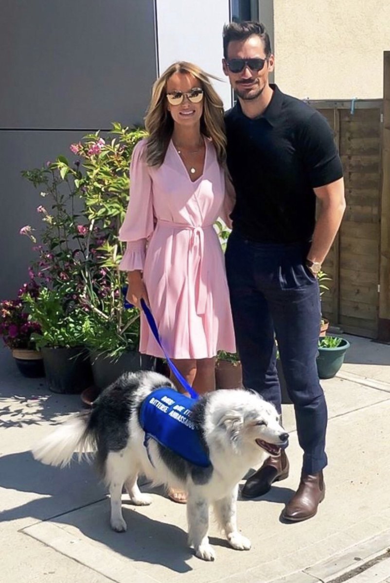 AmandaHolden's tweet image. .#Ambassador duties @Battersea_ with @DGandyOfficial #terribleday 🤣🤣♥️♥️