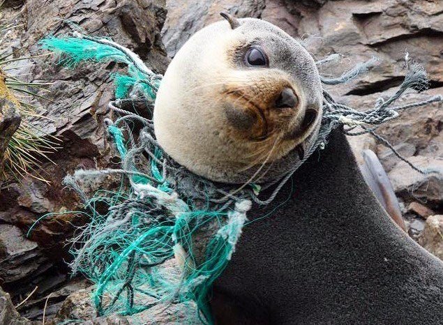 Markofficial08's tweet photo. #Recycle #DontLitter #HelpTheWorld #WaterPollution #FuelPollution #AntiPlastic https://t.co/BnnqmIgeHY