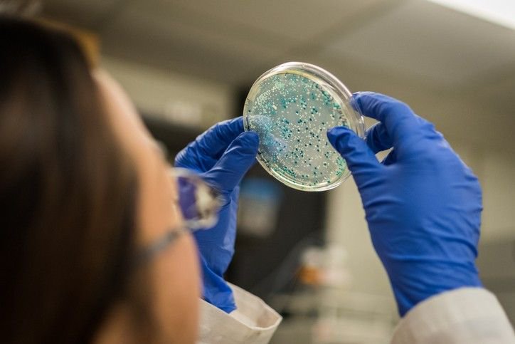 probioticflow's tweet image. Could good microbes found in healthy animals be feed additives and a key to help with disease resistance, daily gain and increasing milk or egg yield? #flowcytometry #animalhealth cell enumeration can help determine if viable cells remain post formulation buff.ly/2Hgkxx2