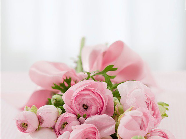 cccbuenapark's tweet photo. Time is running out! Sign up now for our spring women's event! https://t.co/EINHzfWtBA https://t.co/HzdOypMOCO