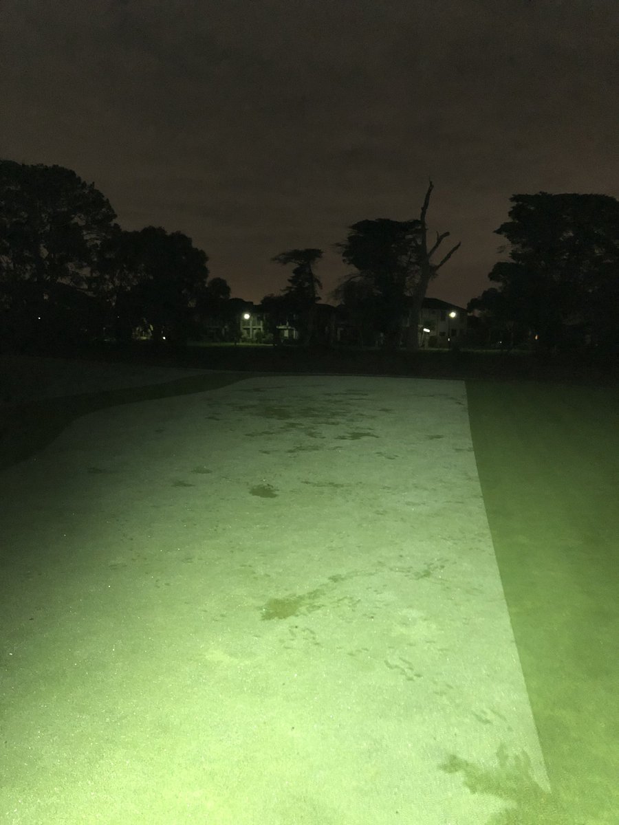 Rabbit issues on greens constantly chewing the turf down to the crown. Wouldn’t be a problem if I could set them up to cut at 3mm. Any ideas to stop this from happening?