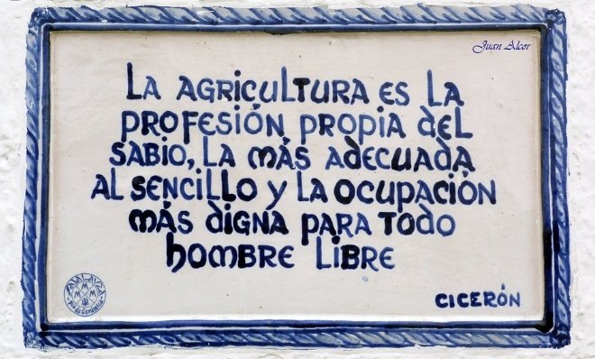 Cristina tweet media