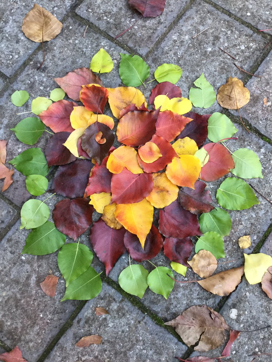 Transient art that brought a smile to my face on the walk to my room @AnnesleySA #Autumn #leaves #cleverkids