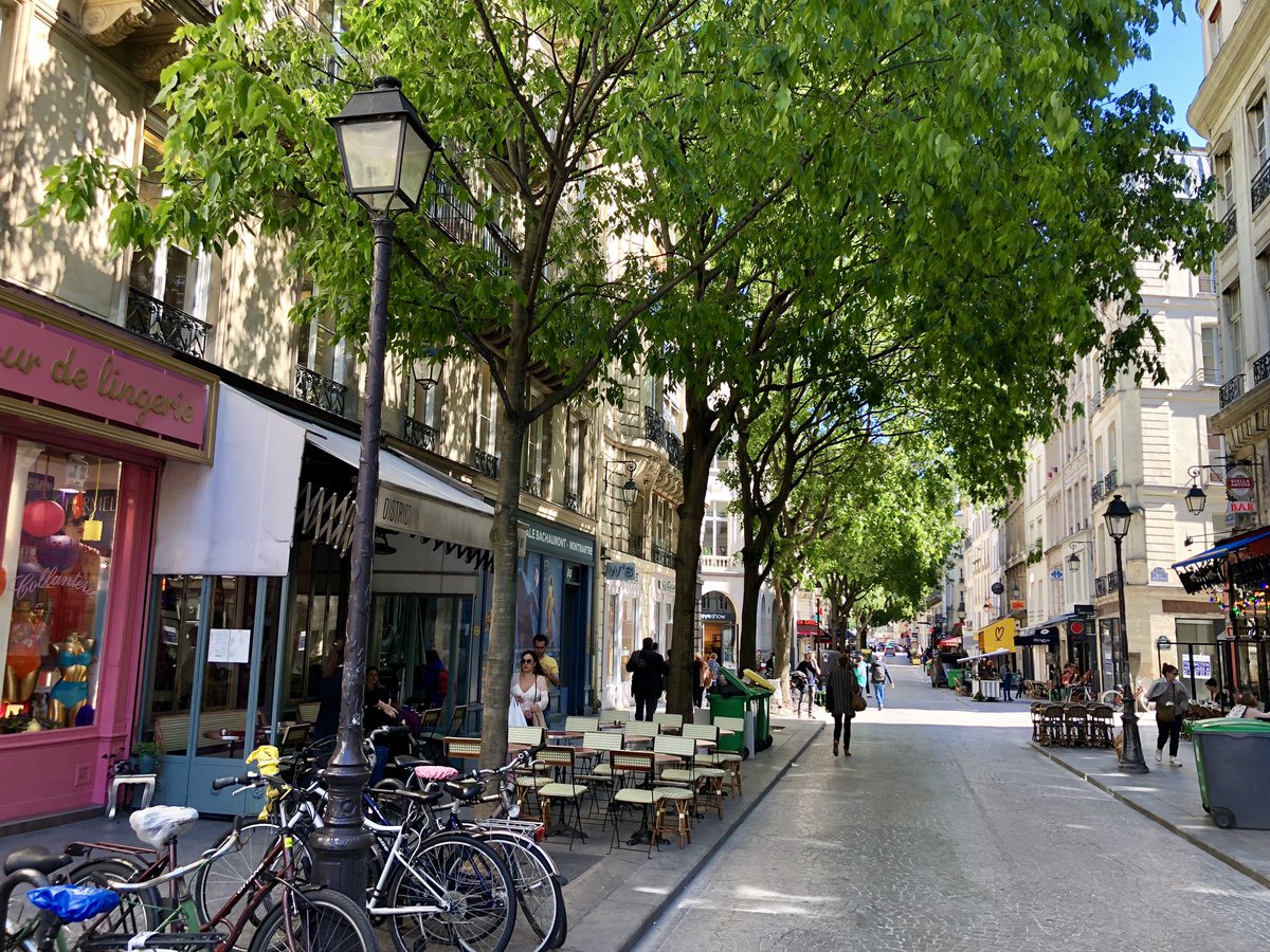The OTHER part of Paris’ remarkable “human scale” that doesn’t get talked about enough — the trees, that work with buildings to frame & soften streets, support pedestrian comfort, clean the air, create shade, & do everything else trees do for cities.  #StreetsAreBetterWithTrees.