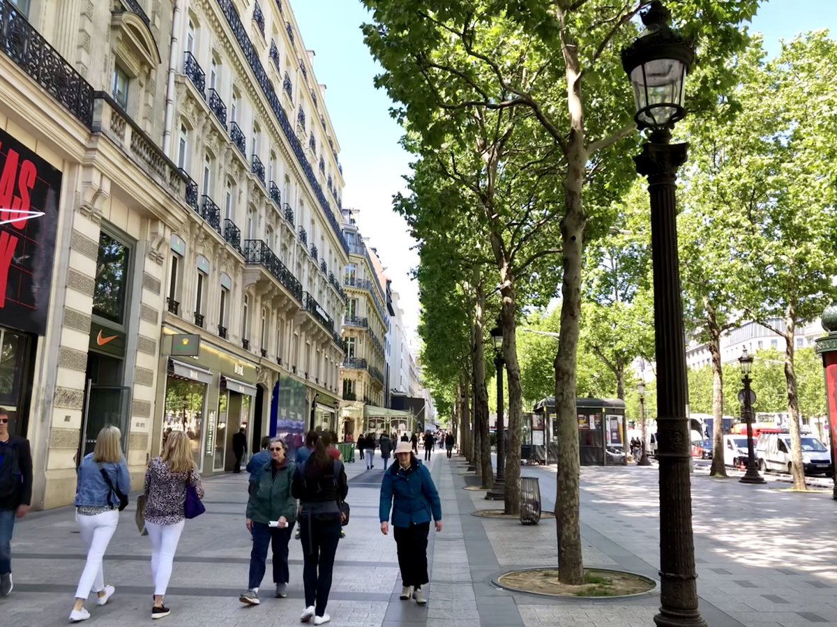 The OTHER part of Paris’ remarkable “human scale” that doesn’t get talked about enough — the trees, that work with buildings to frame & soften streets, support pedestrian comfort, clean the air, create shade, & do everything else trees do for cities.  #StreetsAreBetterWithTrees.